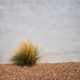 Illustration for article titled A BDAY IN MARFA (PART ONE)
